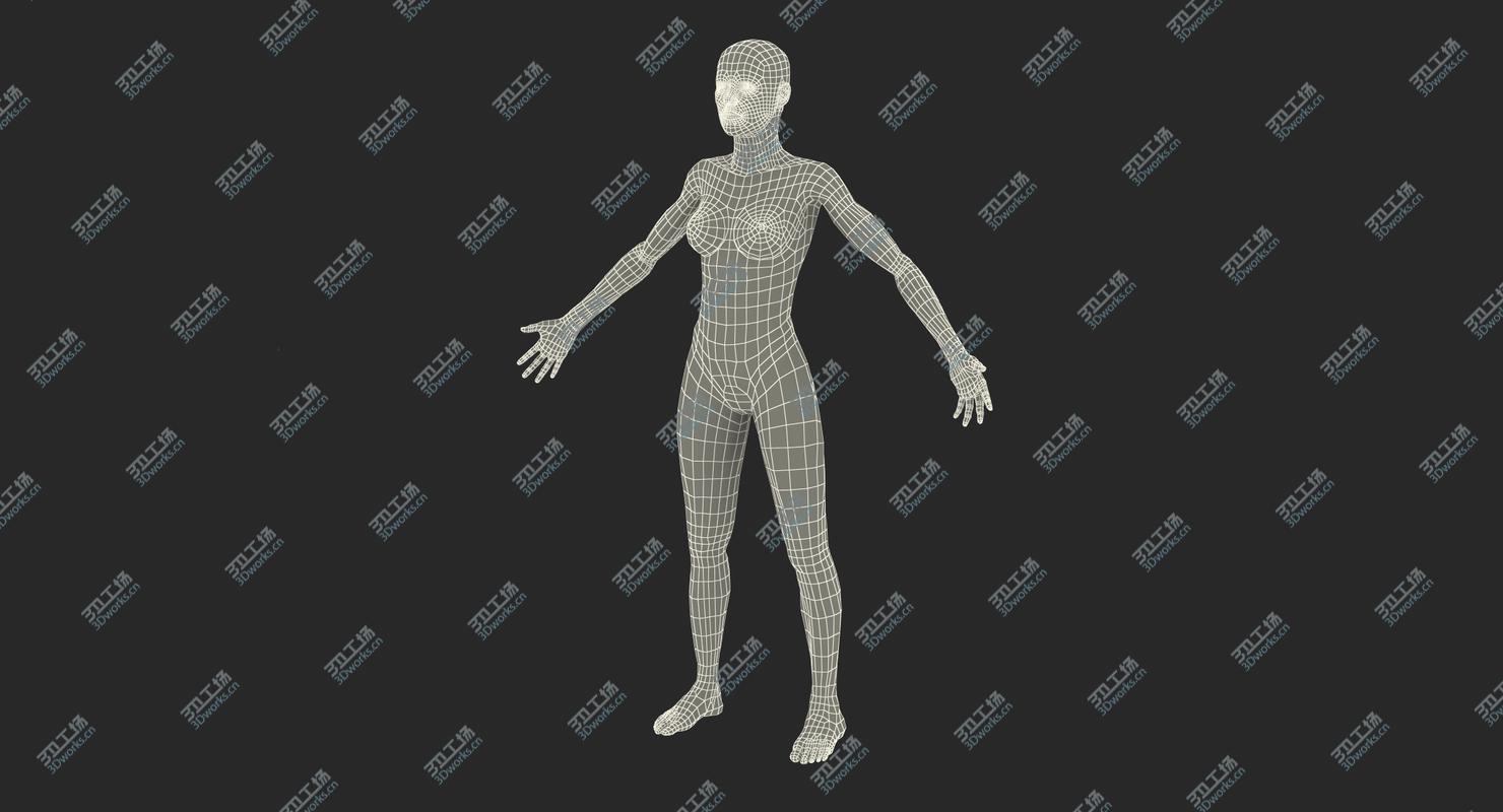 images/goods_img/202105072/Female Muscular System Anatomy 3D model/4.jpg